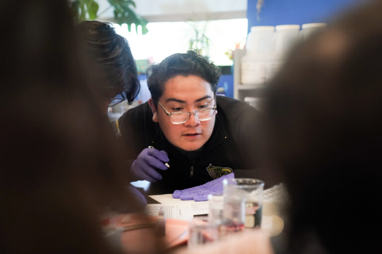 A student wearing gloves looks closely at beakers on a table.