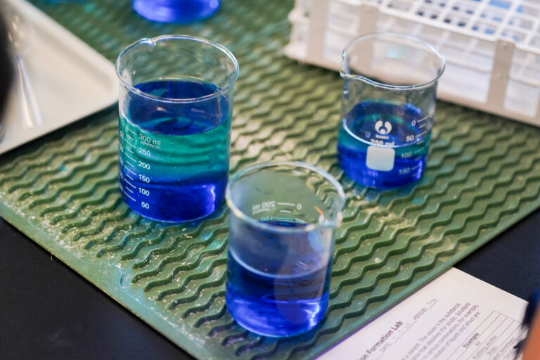 Three beakers with blue liquid on a green tray.